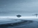 梦见大雪封路走不了？是“情感”被冻住了
