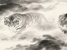 梦见老虎狮子：你怕的猛兽，其实是你自己压住的脾气