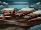 梦见手上长满倒刺撕不掉，是诸事不顺的烦躁