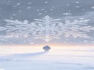 梦见雪，冷和干净同时来