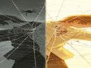 梦见蜘蛛爬满身，是你“觉得被纠缠了”