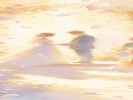  梦见婚礼，不一定是想结婚