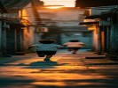 梦见童年的伙伴，是给现在的自己捎个信
