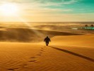  梦见沙漠：不是没路，是你太久没给自己浇水