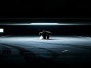 梦见自己的车子被偷了？是“自主权”在流失