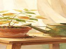 梦见养的花枯了，叶子一碰就掉