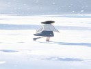 梦见自己在雪地里走，回头看却没有脚印
