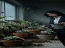 梦见自己养的植物全枯死了