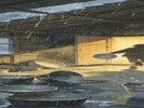 梦见屋顶漏雨，盆不够接