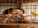 梦见自己被锁在笼子里，旁边的人却看不见你